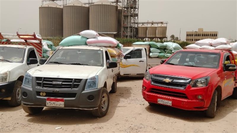 توريد القمح بالبحيرة