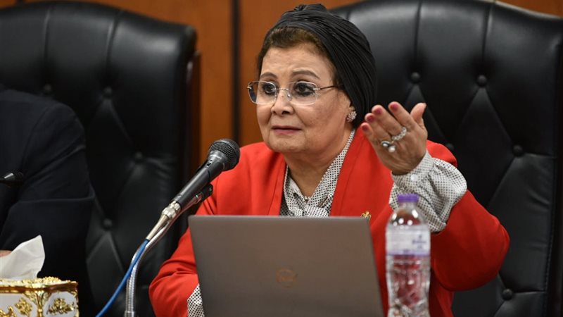 الدكتورة عبلة الألفي،