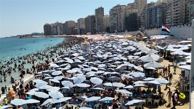 شواطئ الإسكندرية