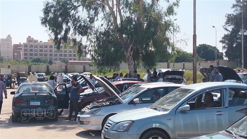 اسعار السيارات، فيتو