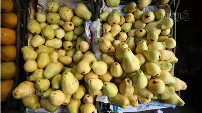 تفسير حلم أكل الجوافة في منام العزباء وعلاقته بقدوم رزق سريع قريبا 
