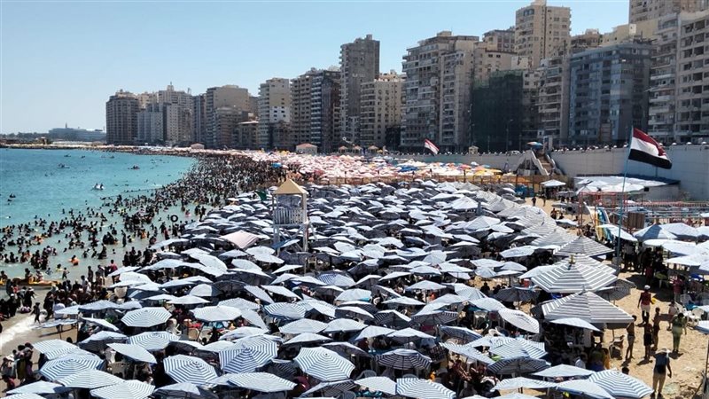الاسكندريه 