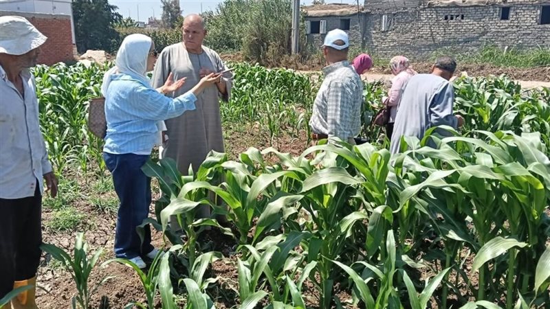 نشاط إرشادي لمركز