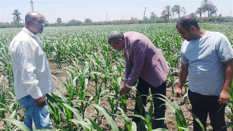 زراعة أسيوط في جولة