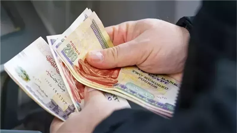 مرتبات 