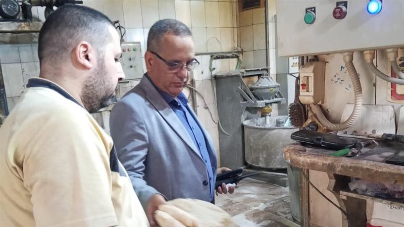 حملات تموينية بالدقهلية،