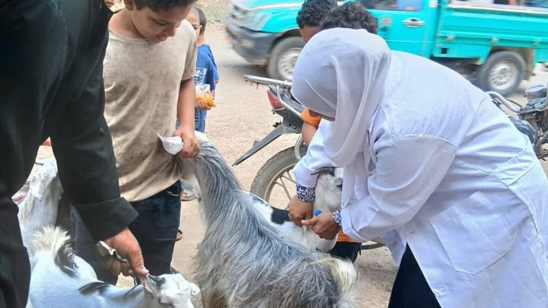 يُحصن ١٤٩ألفا و٣٤٨رأس