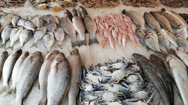 سعر السمك اليوم 