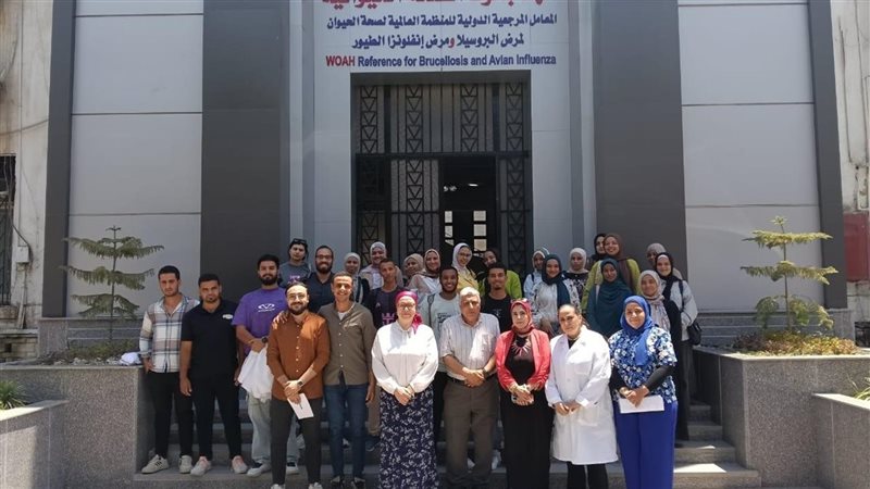 طلاب الجامعات في