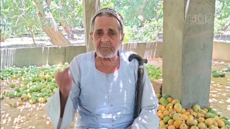 الجد على منصور، فيتو
