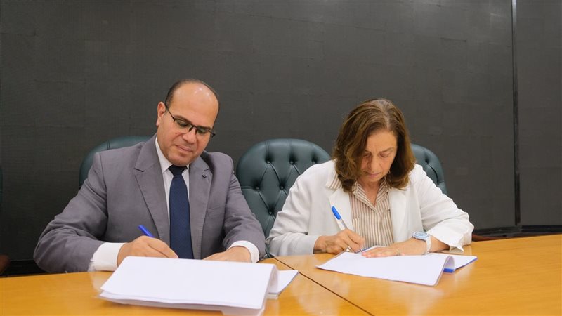 وزارة التضامن الاجتماعي،
