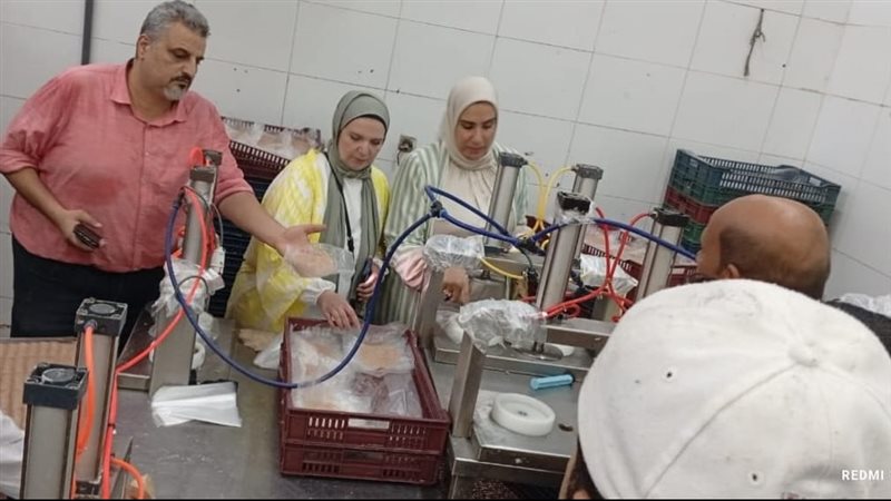حملات مكبرة بجمصة،