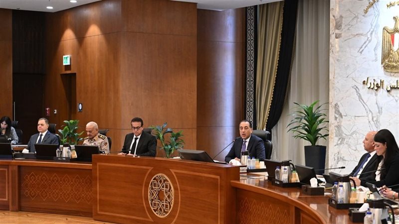 مجلس الوزراء، فيتو