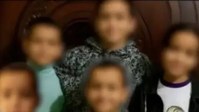 مصدر بالزراعة يكشف حقيقة تسبب مبيد 