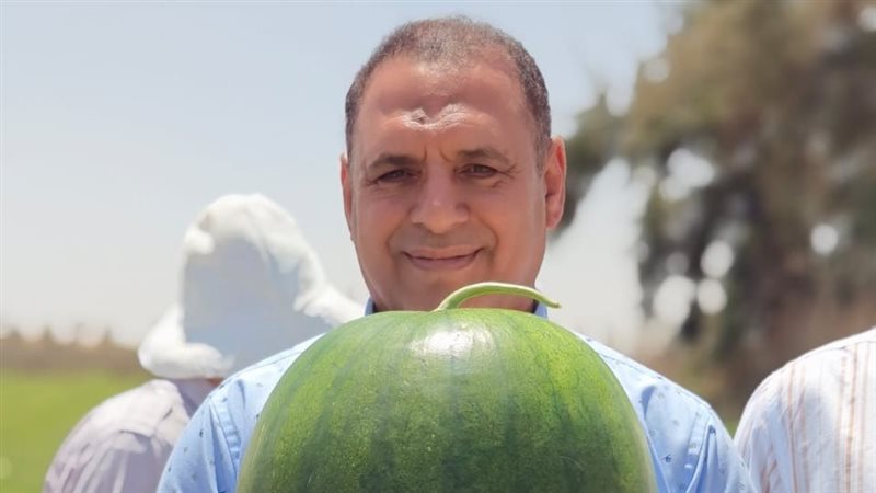 الدكتور سليمان عمران