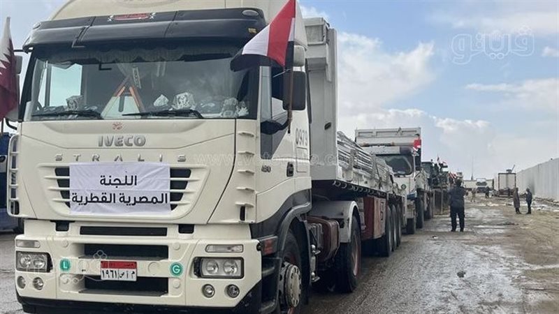 المساعدات المصرية