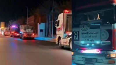 أمجد الشوا: ادعاء الاحتلال إدخال مساعدات لغزة تضليل إعلامي وما وصل شحيح جدا