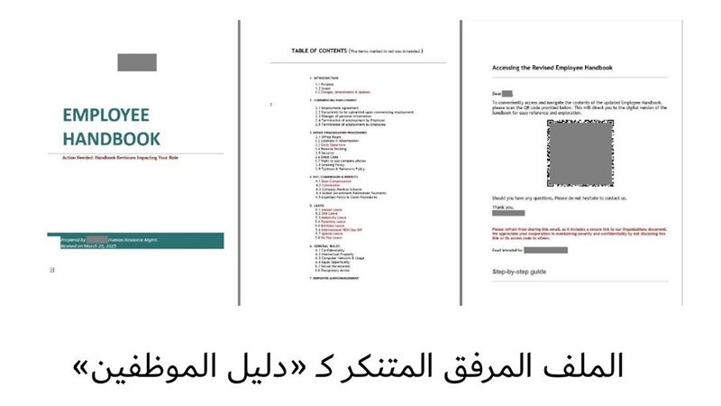 حملة التصيد الاحتيالي،فيتو