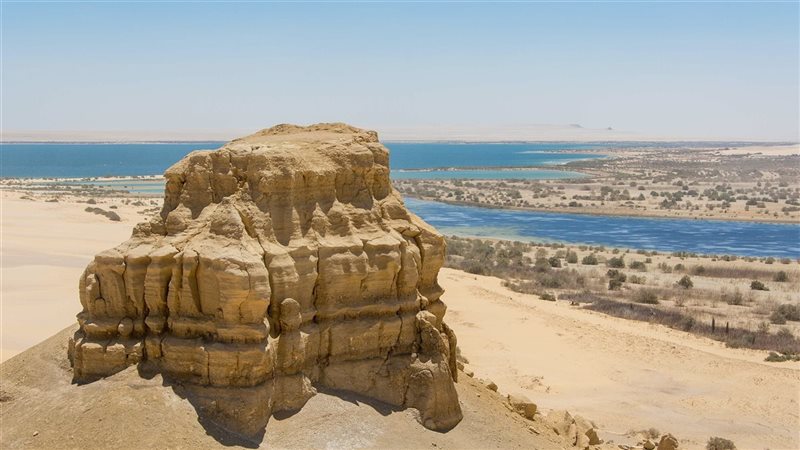 حالة الطقس، فيتو