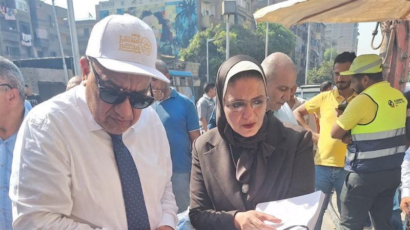 وزير الكهرباء من