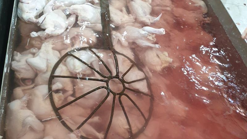 بيطرى الشرقية يضبط