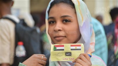 شكرًا مصر، شاهد تذكرة مغادرة السودانيين للقاهرة (صور) 