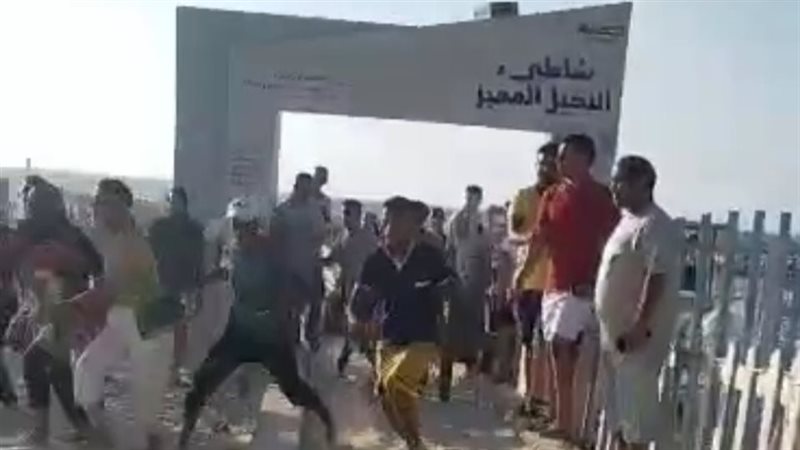 مشاجرات شاطئ النخيل،