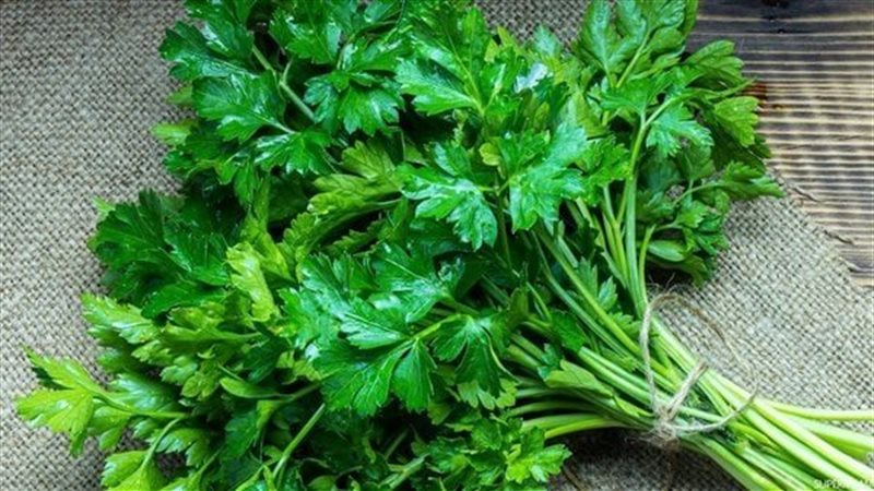 تفسير رؤية البقدونس
