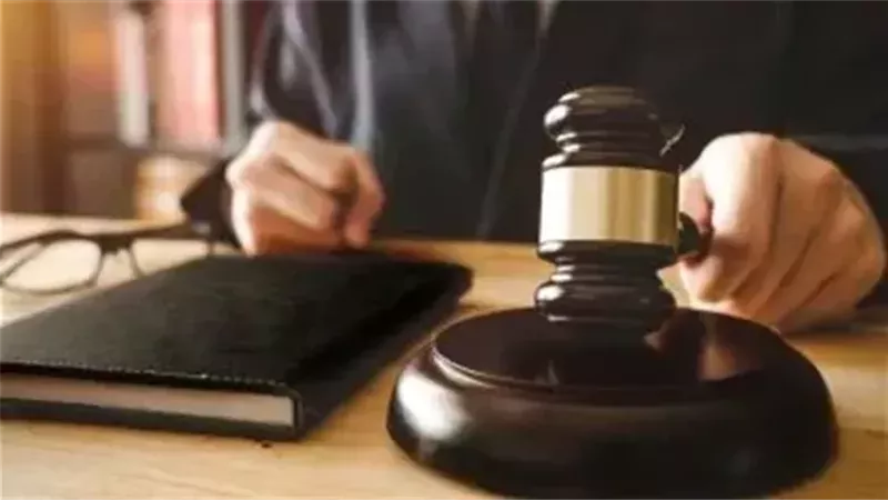 جنايات شبرا الخيمة،فيتو