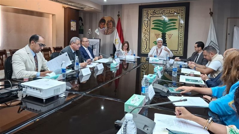 المجلس القومي للطفولة
