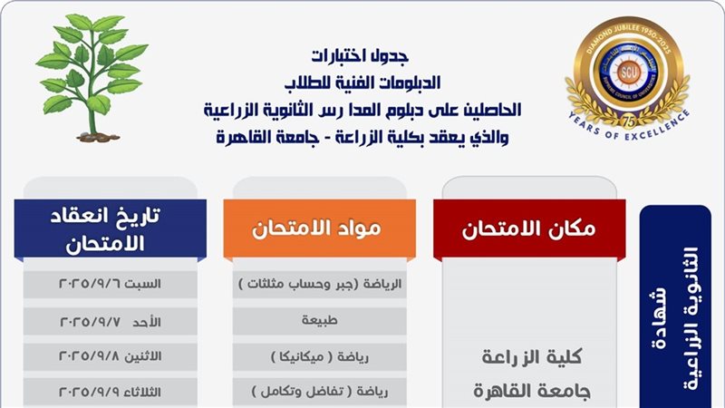 تنسيق الدبلومات الفنية