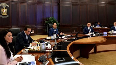 مدبولي: كلمة الرئيس حول الأوضاع فى غزة تؤكد ثوابت الدولة المصرية 