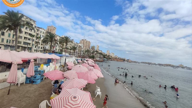 الإسكندرية 