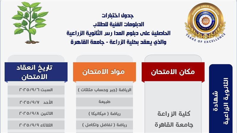 تنسيق الدبلومات الفنية