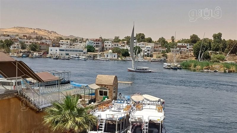 حالة الطقس غدا، فيتو
