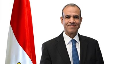 وزير الخارجية يبحث مع نظيرته الموزمبيقية تعزيز التعاون بين البلدين 
