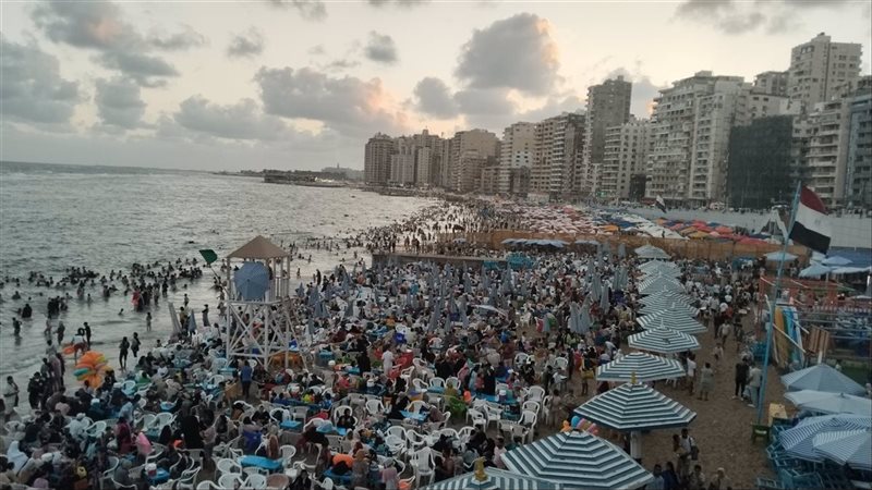 الاسكندريه 