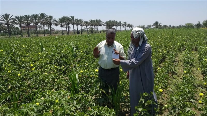 حملات مرورية لمكافحة