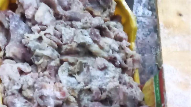 اسماك مملحة فى اسوان