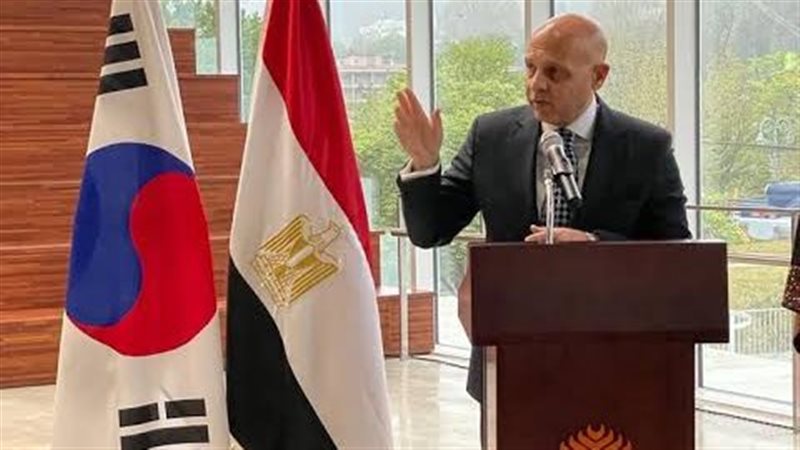 السفير المصري في