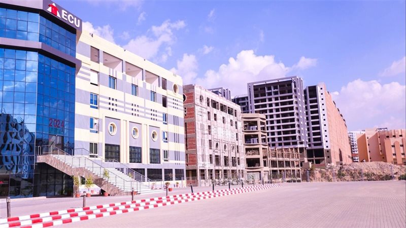 الجامعة المصرية الصينية