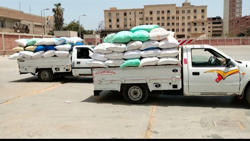 توريد قمح محلي