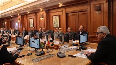 الأعلى للجامعات يبحث مقترح تخصيص منح دراسية للطلاب الأفارقة