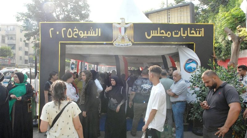 انتخابات مجلس الشيوخ،