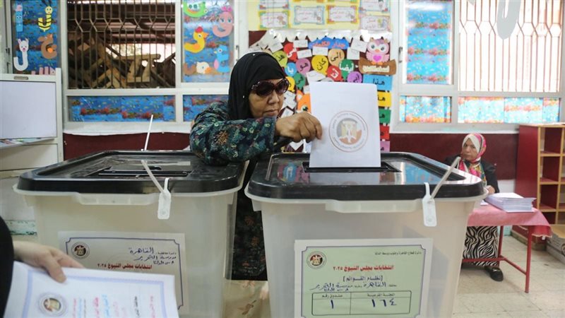 انتخابات مجلس الشيوخ،