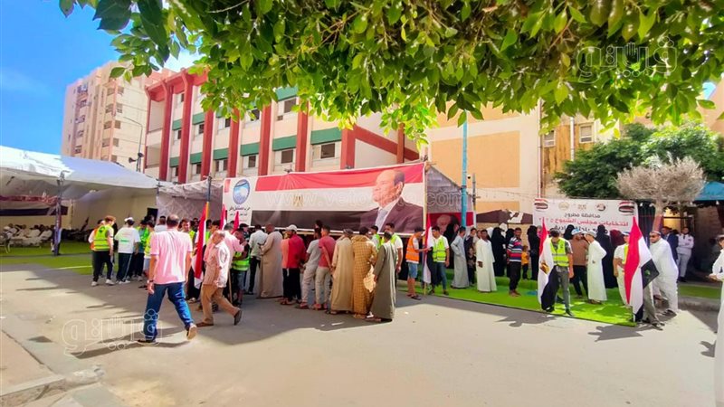 انتخابات مجلس الشيوخ