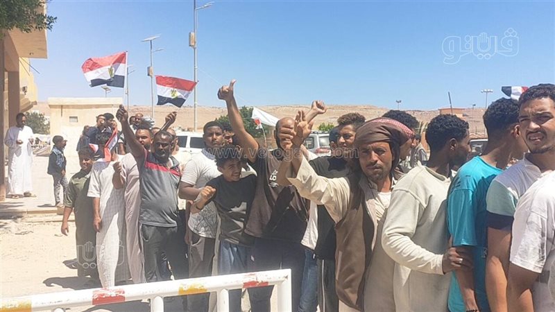 انتخابات مجلس الشيوخ