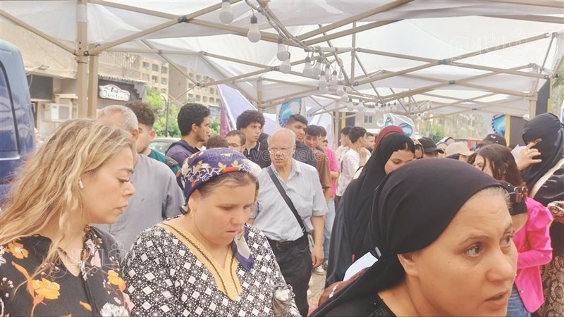 انتخابات مجلس الشيوخ،