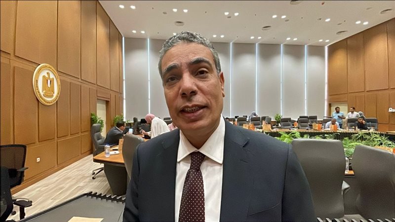 د. عادل عبد الغفار