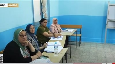 إقبال ضعيف من المواطنين على انتخابات مجلس الشيوخ بإحدى اللجان في المعادي (فيديو)